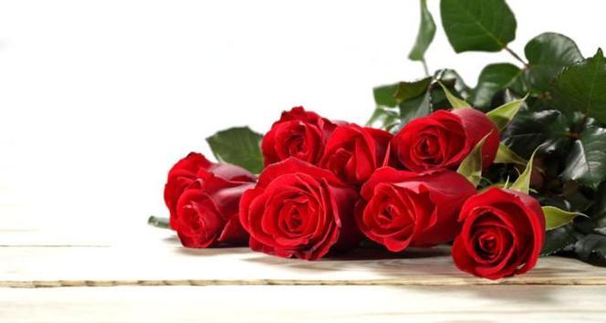 17朵玫瑰的花语与象征意义（探索17朵玫瑰的神秘意义与魅力）