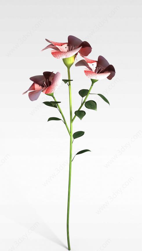 花语传递歉意（以鲜花表达对不起）