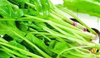 如何让蔬菜更久不坏（全面掌握保存方法）