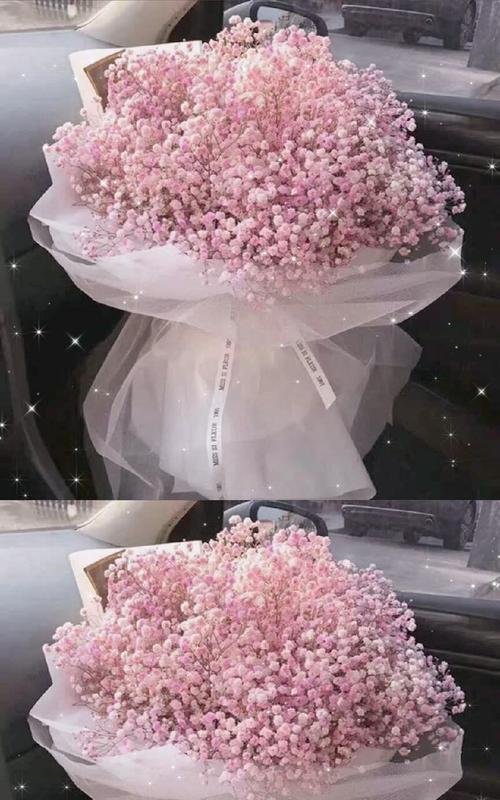 满天星花语与传说（满天星的浪漫与神奇）