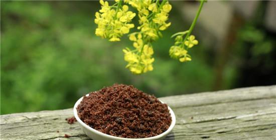 红糖水是否适合浇花（探究红糖水对植物生长的影响）