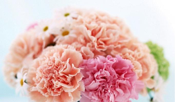 送给老师的花礼（选择适合老师的花束）