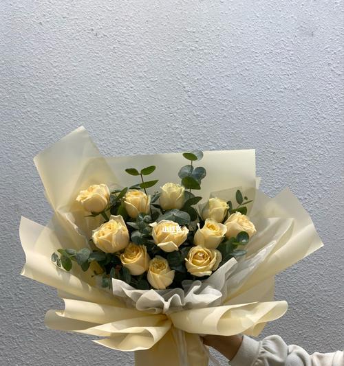 11朵香槟玫瑰的寓意（解读香槟色玫瑰传达的情感与意义）