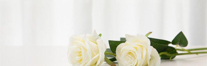 白玫瑰花语的美丽和寓意（纯洁与无邪的象征——白玫瑰花）