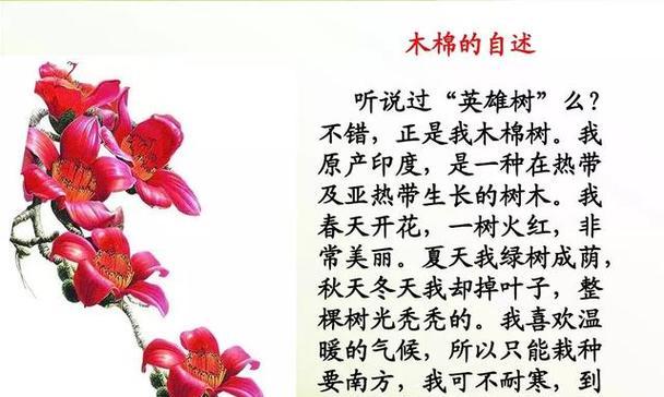 红枫花语的含义与象征（探索红枫花语的美丽传承与深刻内涵）