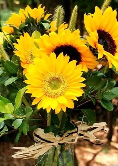 思念之花（百合花语与思念之情的神秘联结）