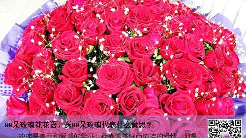十朵玫瑰的花语之解读（花语传递的深情意义与情感表达之美）