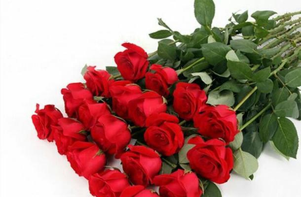 12朵玫瑰花语的浪漫寓意（红色玫瑰传递爱情的关键）