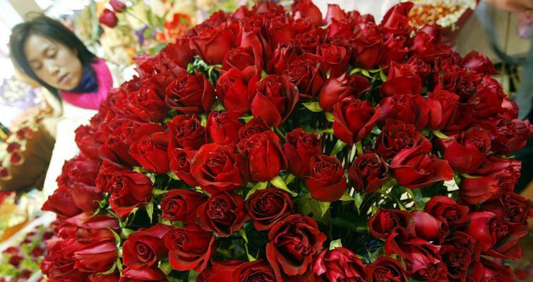 玫瑰花语之17朵玫瑰的深意（探寻玫瑰花语的含义及象征意义）