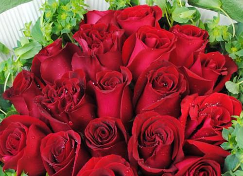 24朵玫瑰花语浅析（传递浪漫与真挚的爱情之花——24朵玫瑰的含义解读）