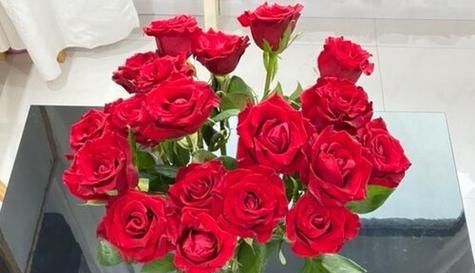 31朵玫瑰的花语之浪漫与承诺（探寻31朵玫瑰的深意与祝福）