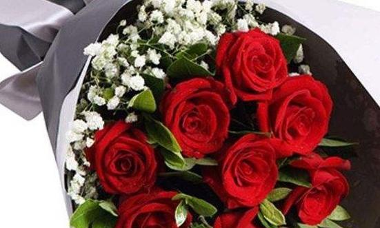 35朵玫瑰的花语之意（探秘35朵玫瑰所传达的不同寓意与情感）