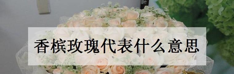 35朵玫瑰的花语之意（探秘35朵玫瑰所传达的不同寓意与情感）
