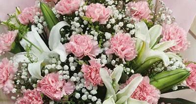 白康乃馨花语（探寻白康乃馨花的花语和祝福）
