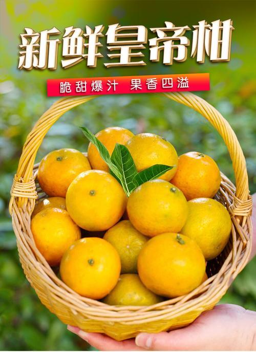 皇帝柑成熟上市时间表（了解皇帝柑的生长过程及上市规律）