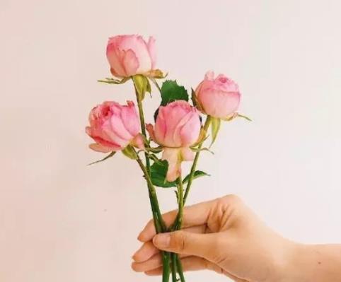 遗憾的花，怅然绽放（花开的遗憾与无奈）