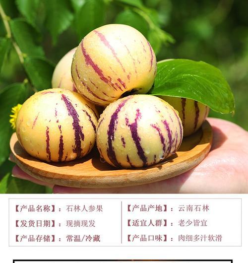 探秘人参果之“福建特产”（历史渊源）