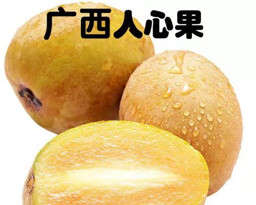 人参采摘全攻略（春夏秋冬四季皆可采摘）