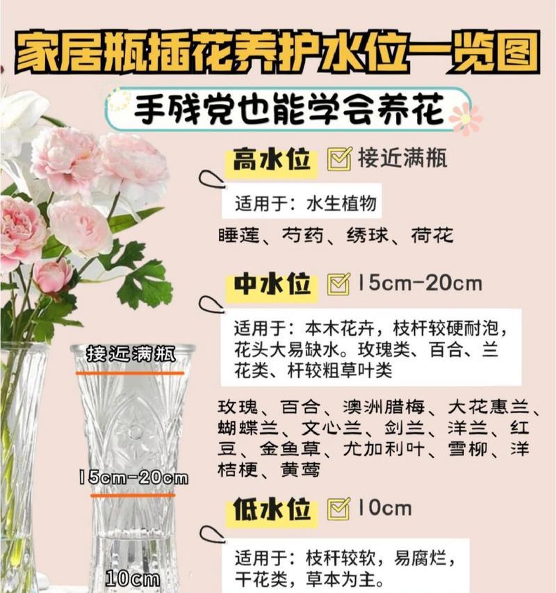 肉锥灯泡的培养和养护方法（让你的肉锥灯泡健康生长的技巧）