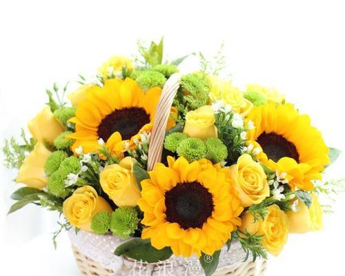教师花（探寻老师花的丰富寓意与象征意义）