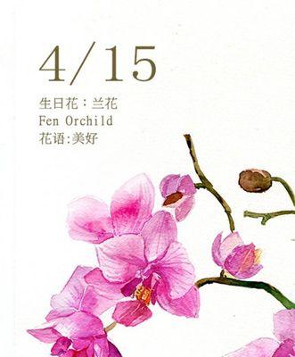 吊竹兰的花语之意义与象征（探索吊竹兰花语的深层内涵与文化价值）