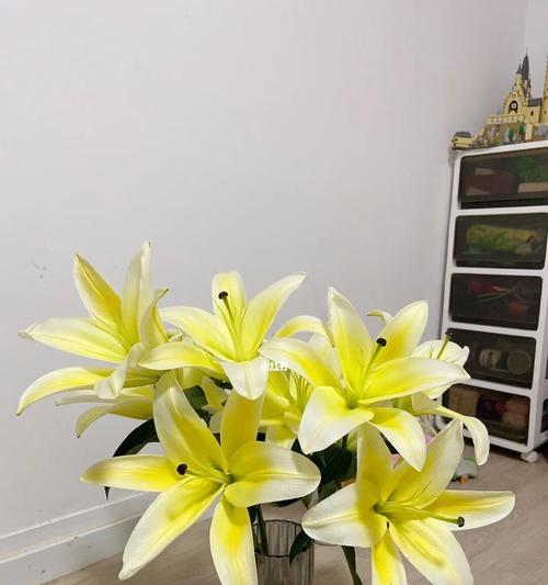 黄天霸百合的寓意与启示（深入解读黄天霸百合的象征意义及其对人生的启发）
