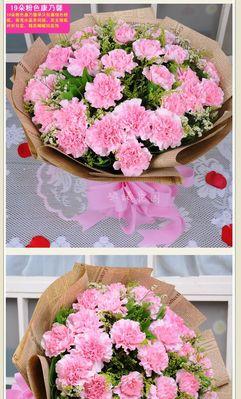 康乃馨花的象征意义（美丽）