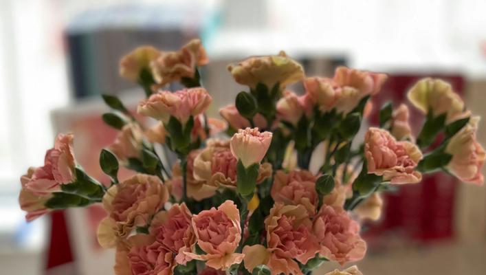 康乃馨花卉的象征意义与传统文化的深度联系（百合花的文化内涵与美丽姿态）