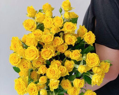 狂欢泡泡玫瑰花语（用泡泡玫瑰传递爱意和祝福）