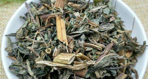 鸭子不吃草（为什么鸭子不吃草）