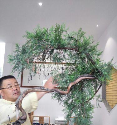 如何有效防治崖柏长虫子（从生态环境）