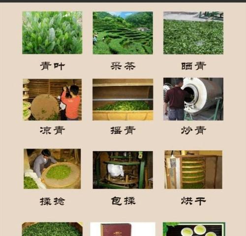 亚麻籽的生长周期及生长过程详解（了解亚麻籽生长周期）