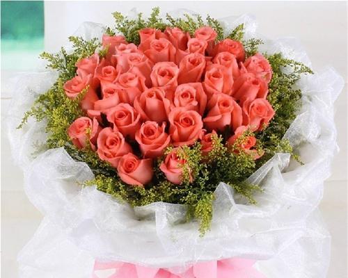 玫瑰花（探索玫瑰花的浪漫含义）