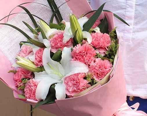 粉色康乃馨的花语含义——传递温柔与爱的芬芳（康乃馨之花语与人情世故）