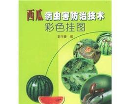 大棚西瓜病虫害防治（保障高产）