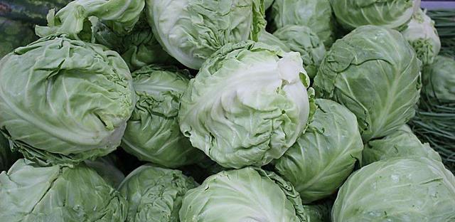 大头菜，中国传统蔬菜的代表（历史）