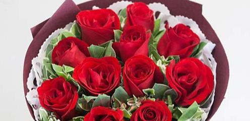 8朵红玫瑰花代表什么意思？花语含义及送花建议是什么？