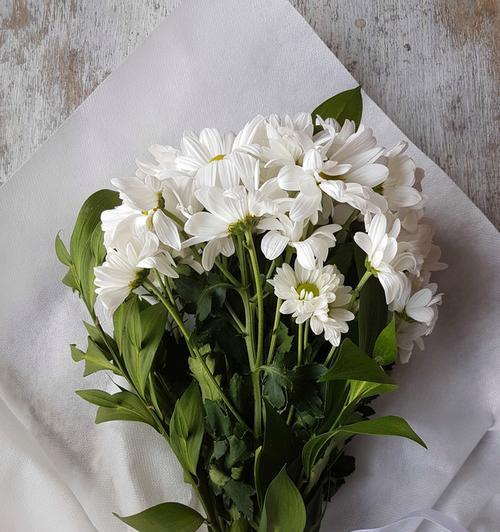 白菊花代表什么意思？你知道它的花语吗？