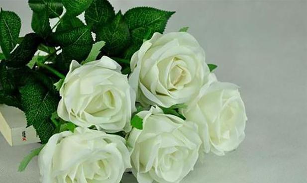 白玫瑰花语是什么？送白玫瑰代表什么意思？