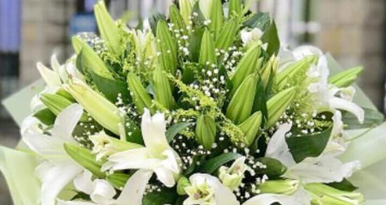 白色百合花语是什么？如何用白色百合表达情感？