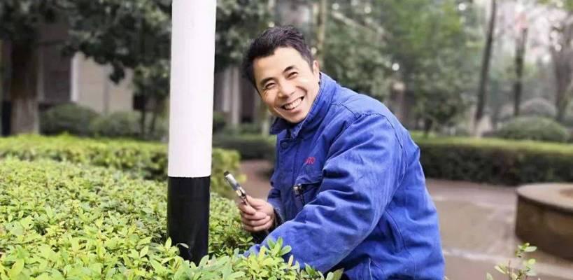 茶花下山桩养护方法是什么？如何确保其健康生长？