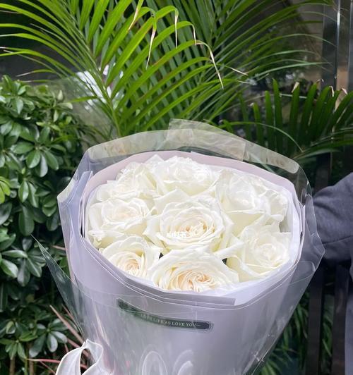 白色玫瑰花代表什么？白色玫瑰花的寓意有哪些常见误解？