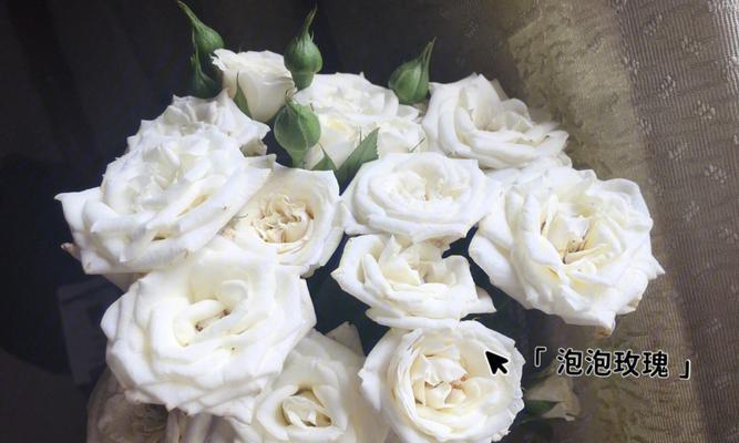 白色玫瑰花代表什么意思？白色玫瑰花花语有哪些含义？