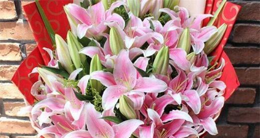 百合的花语是什么？不同颜色的百合花代表什么含义？