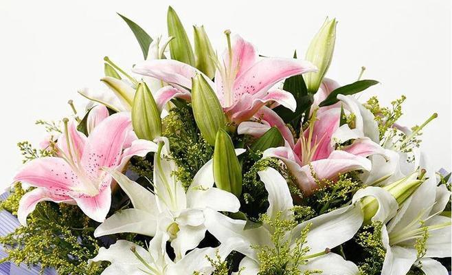 百合花代表的含义是什么？不同颜色的百合花有何特殊意义？