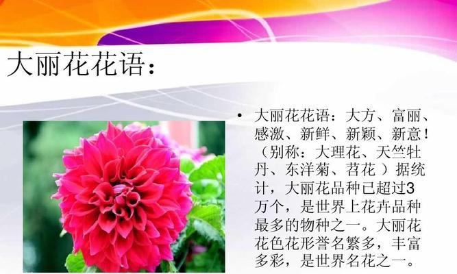 茶蘼的花语是什么含义？如何理解茶蘼的象征意义？