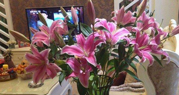 百合花配玫瑰的含义是什么？如何正确搭配这两种花？
