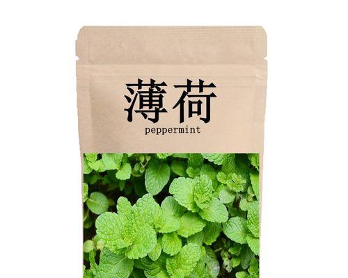 薄荷花语是什么意思？薄荷花的寓意和特点有哪些？