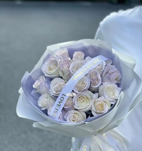 薄雾玫瑰代表什么意思？薄雾玫瑰花语有哪些含义？