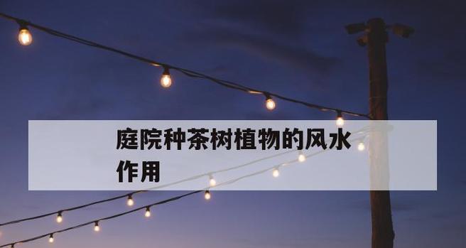 茶树繁殖方法有哪些？繁殖过程中应注意什么问题？